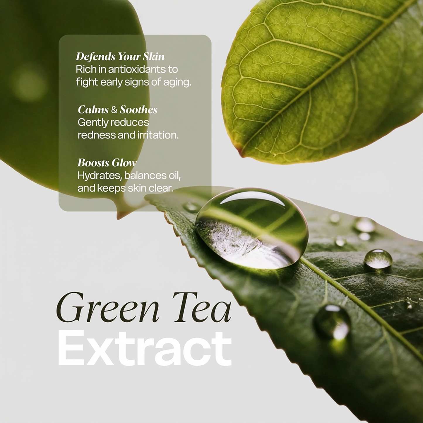 Clean & Hydrate Face Duo