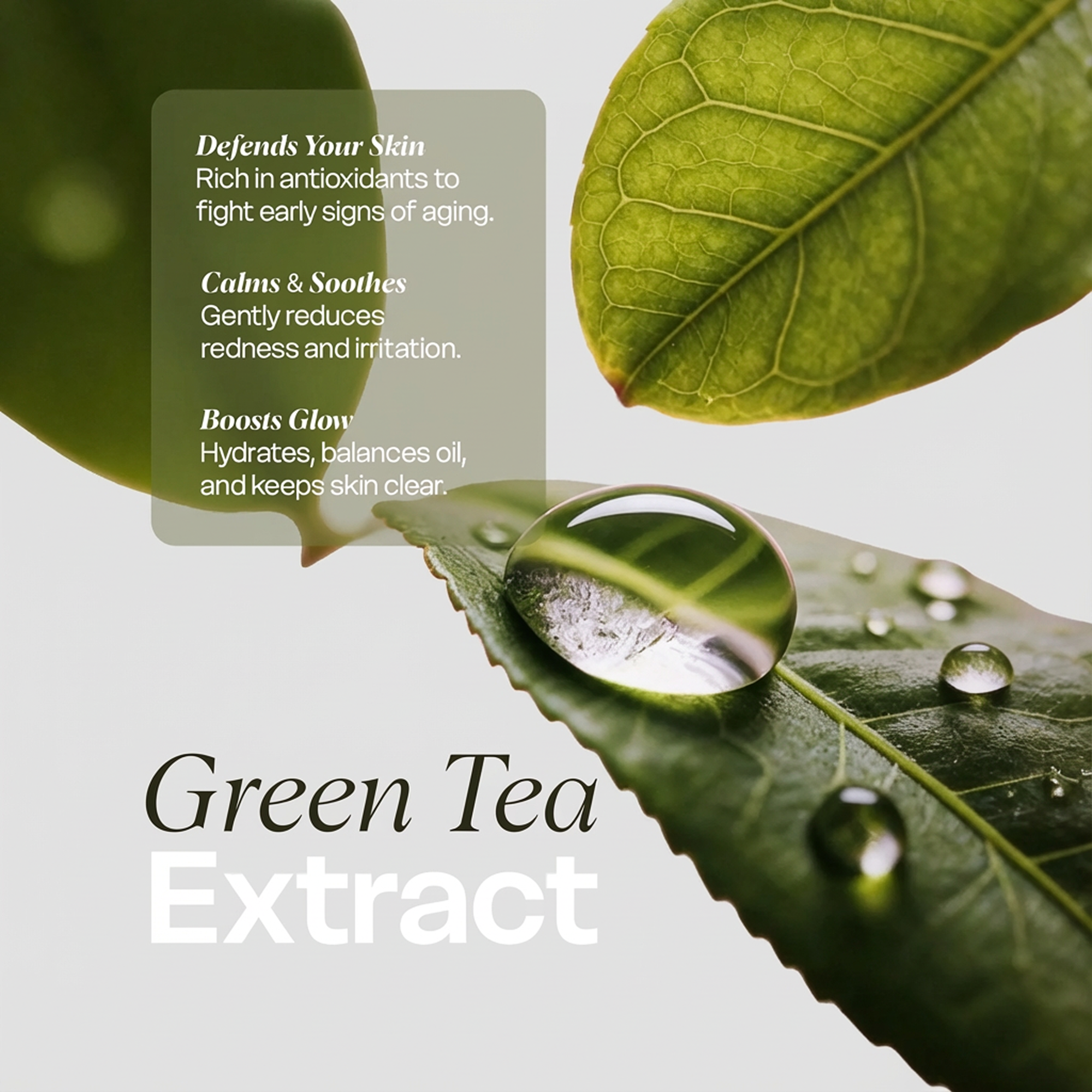 Clean & Hydrate Face Duo