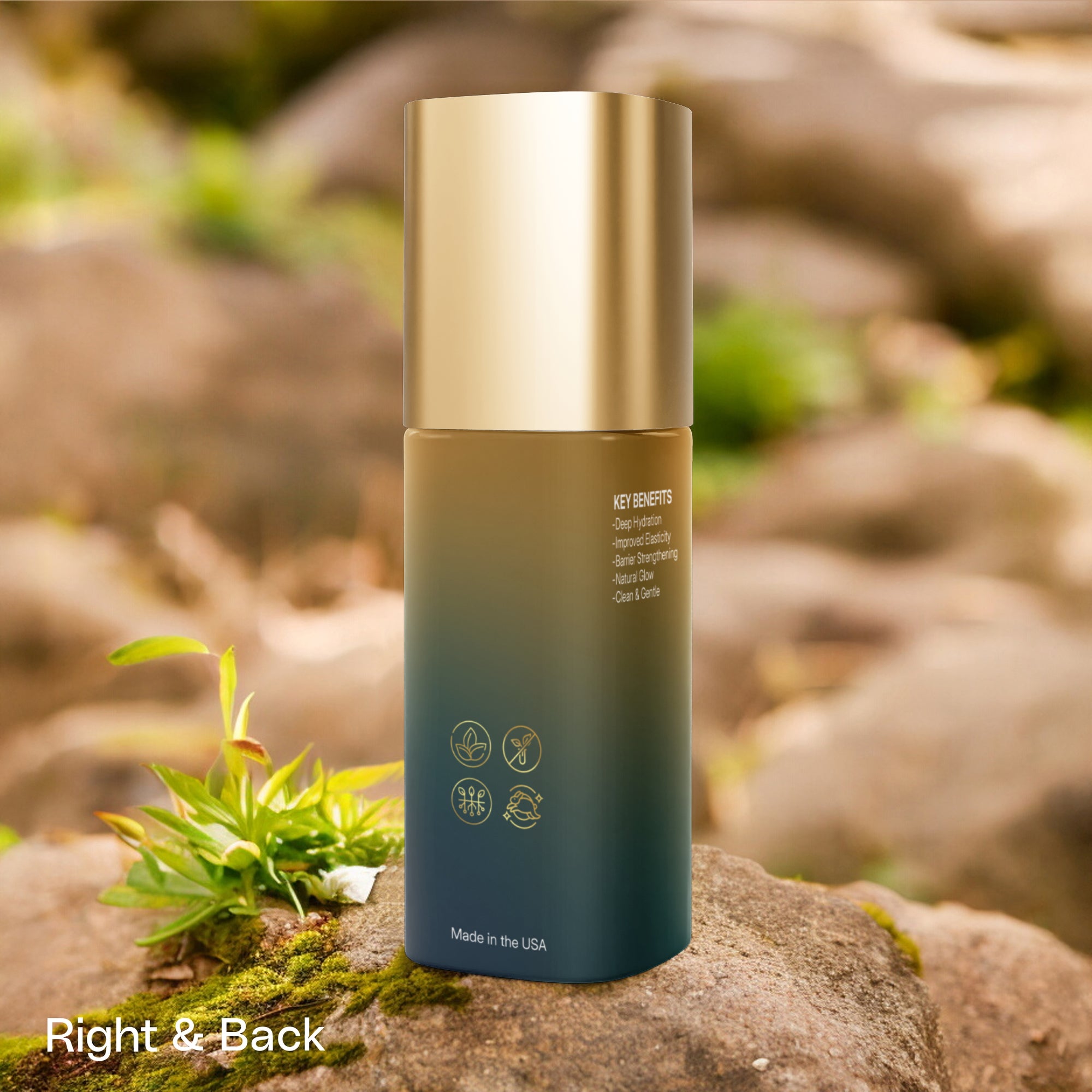 Riche Crème Pro-Aging Nourishing Face and Skin Cream